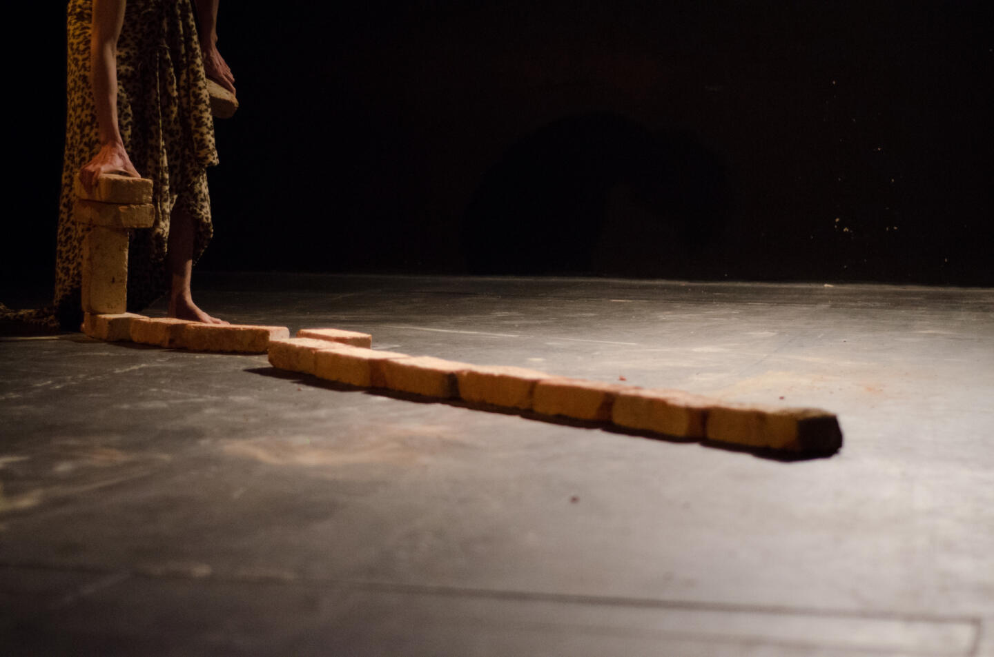DSC 3982